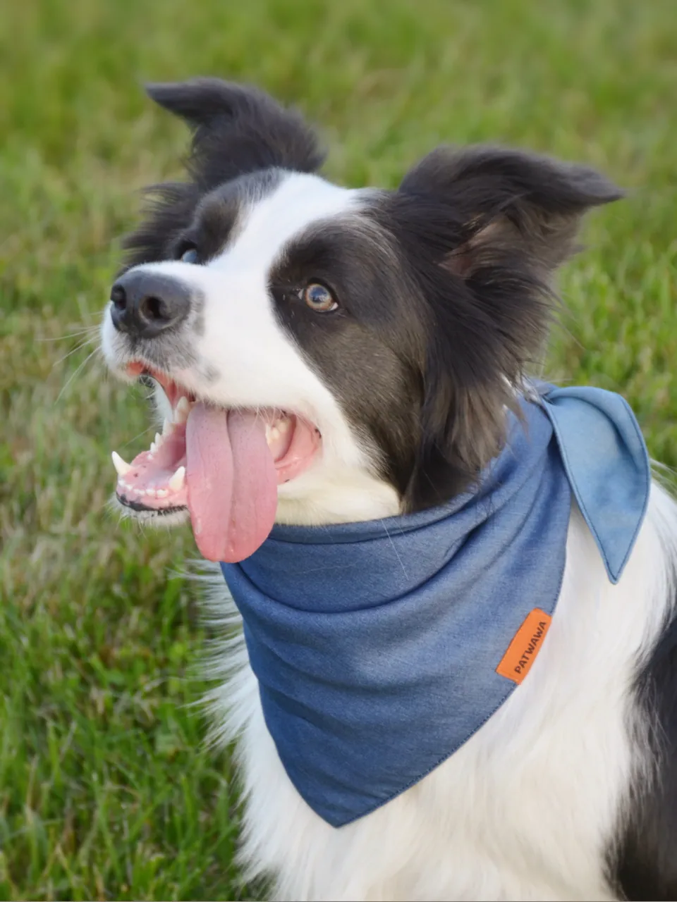 Twilight Denim Duo Bandana, view 4