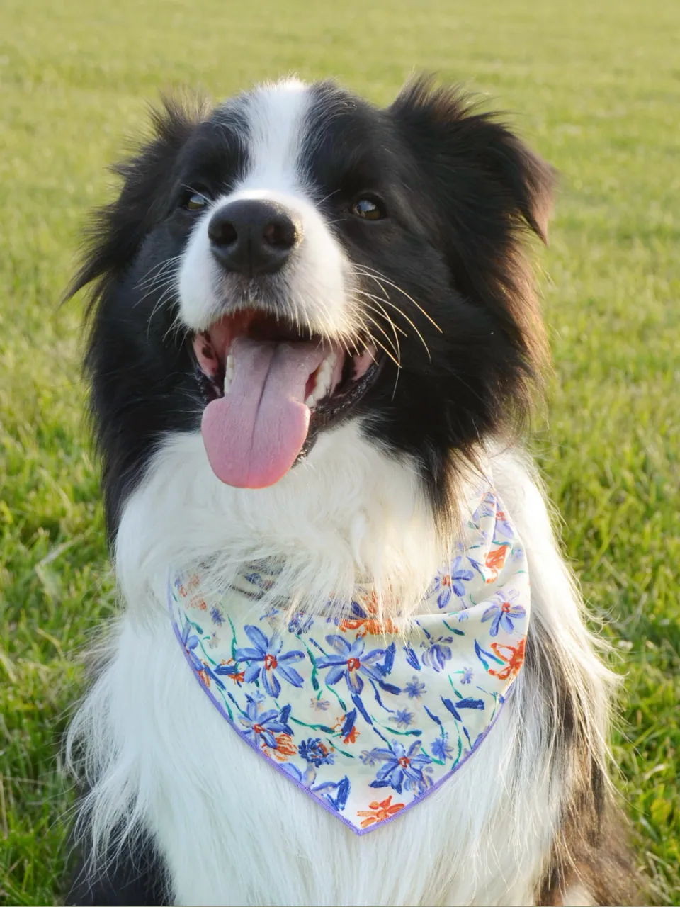 Garden Gala Bandana, view 5