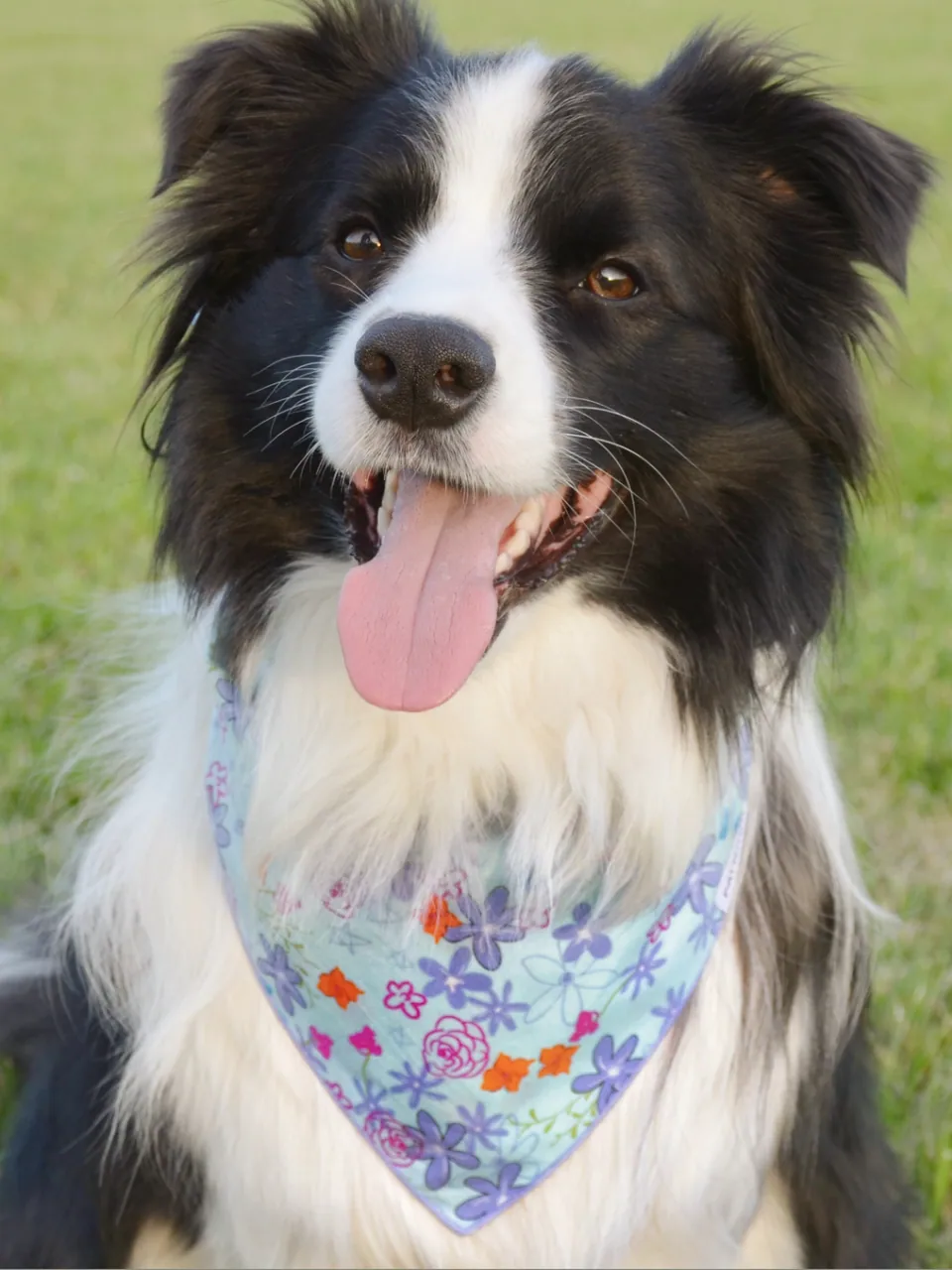 Meadow Whisper Bandana, view 4