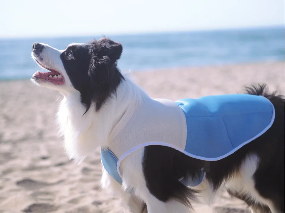 ChillPaw Cooling Vest, view 5