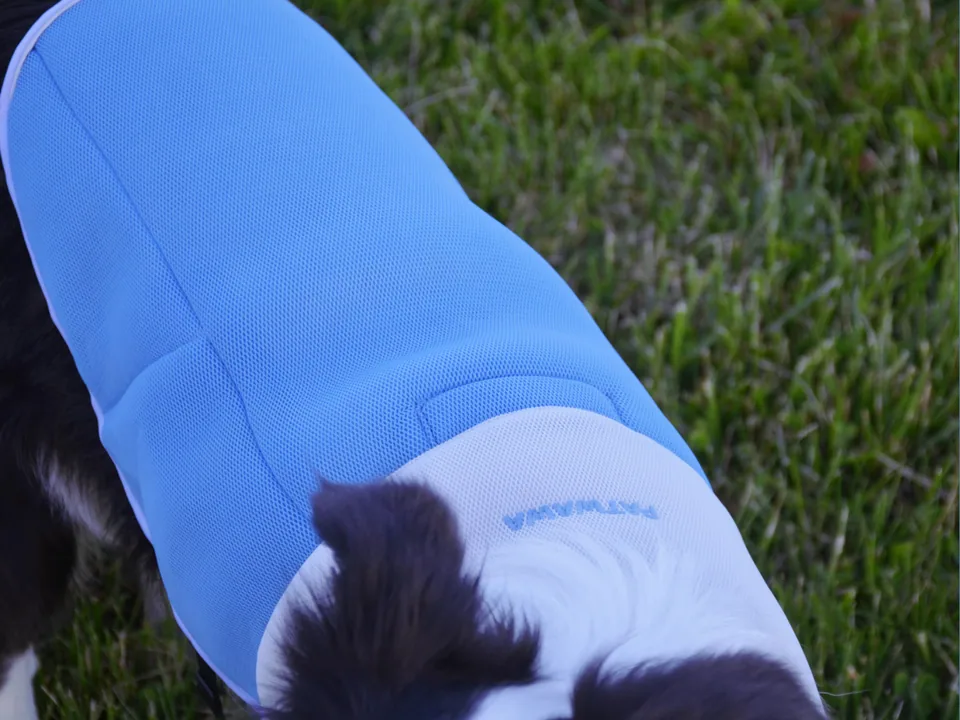 ChillPaw Cooling Vest, view 6
