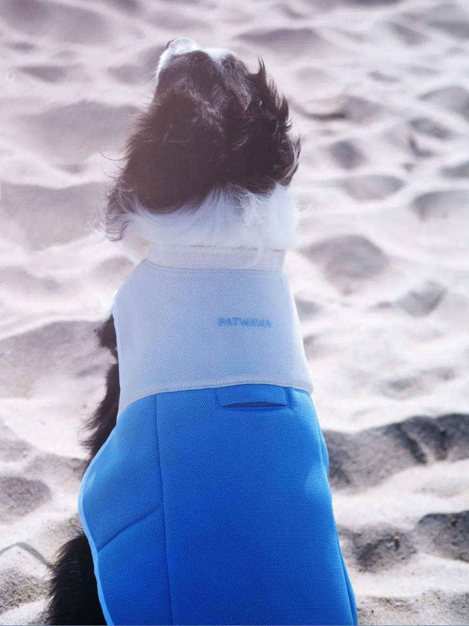 ChillPaw Cooling Vest, view 4