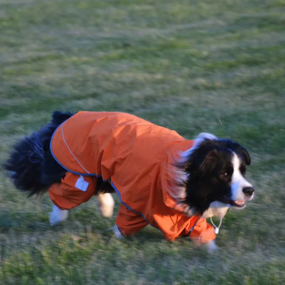 BrightGuard Duo Raincoat, view 4