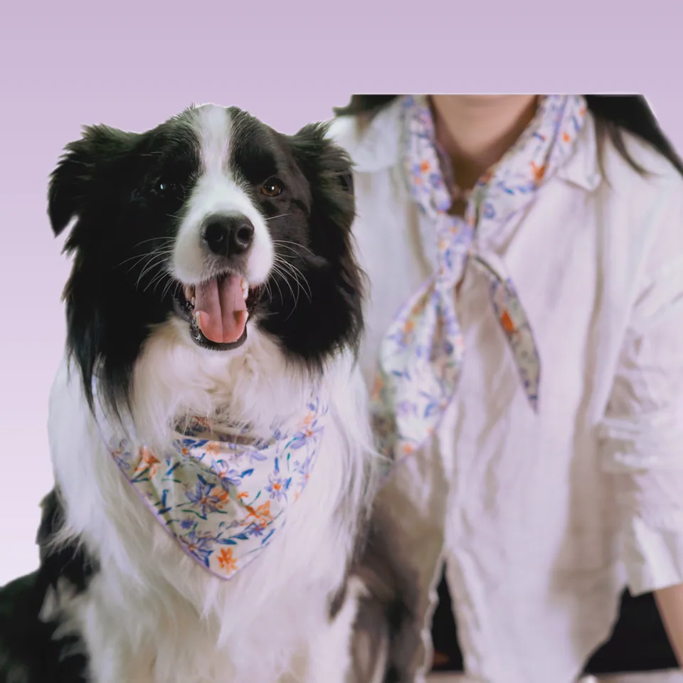 Owner's Beloved Bandana, view 9