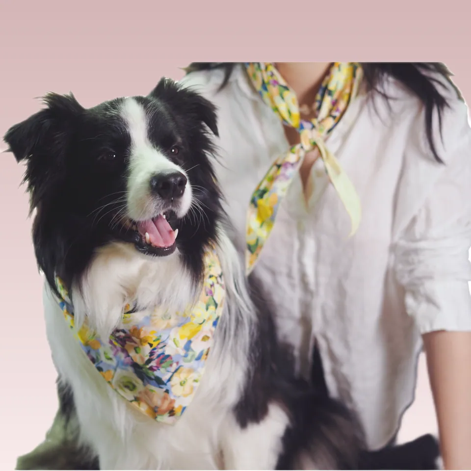 Owner's Beloved Bandana, view 8