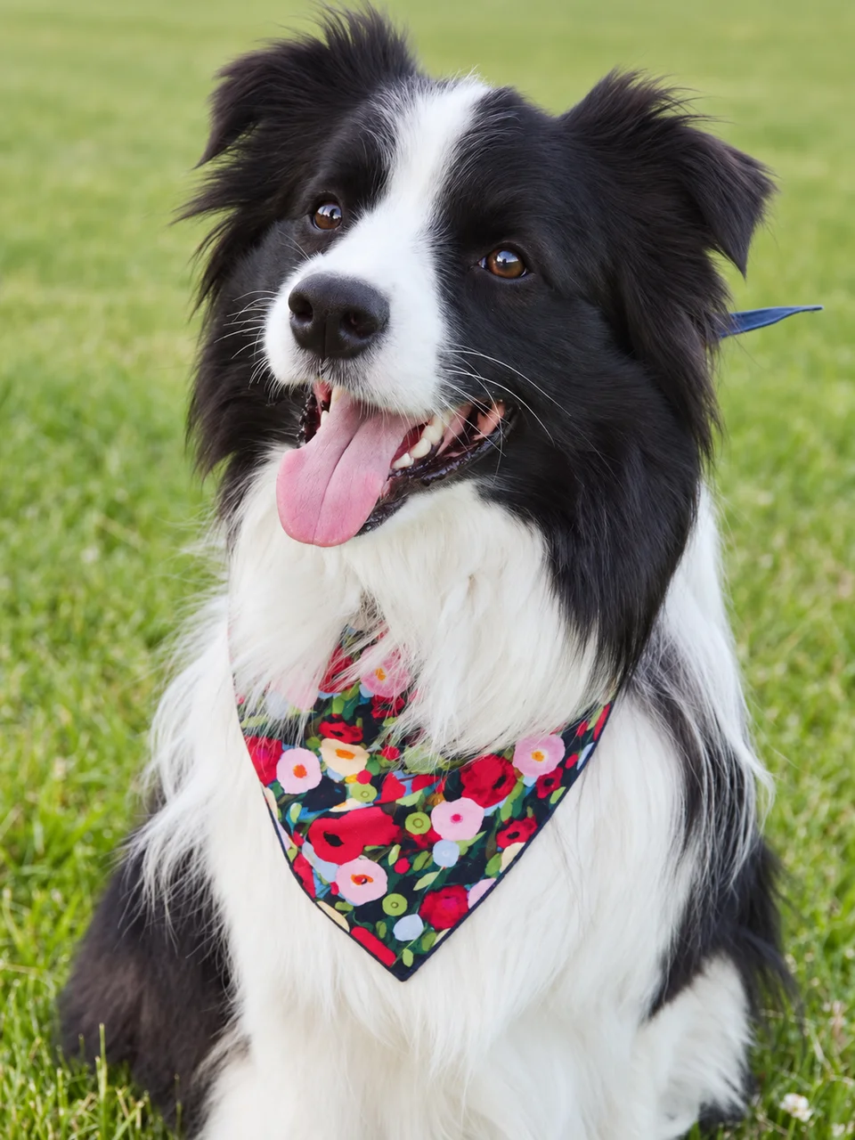 Party Bloom Bandana