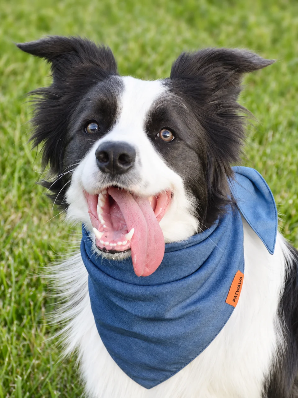 Twilight Denim Duo Bandana