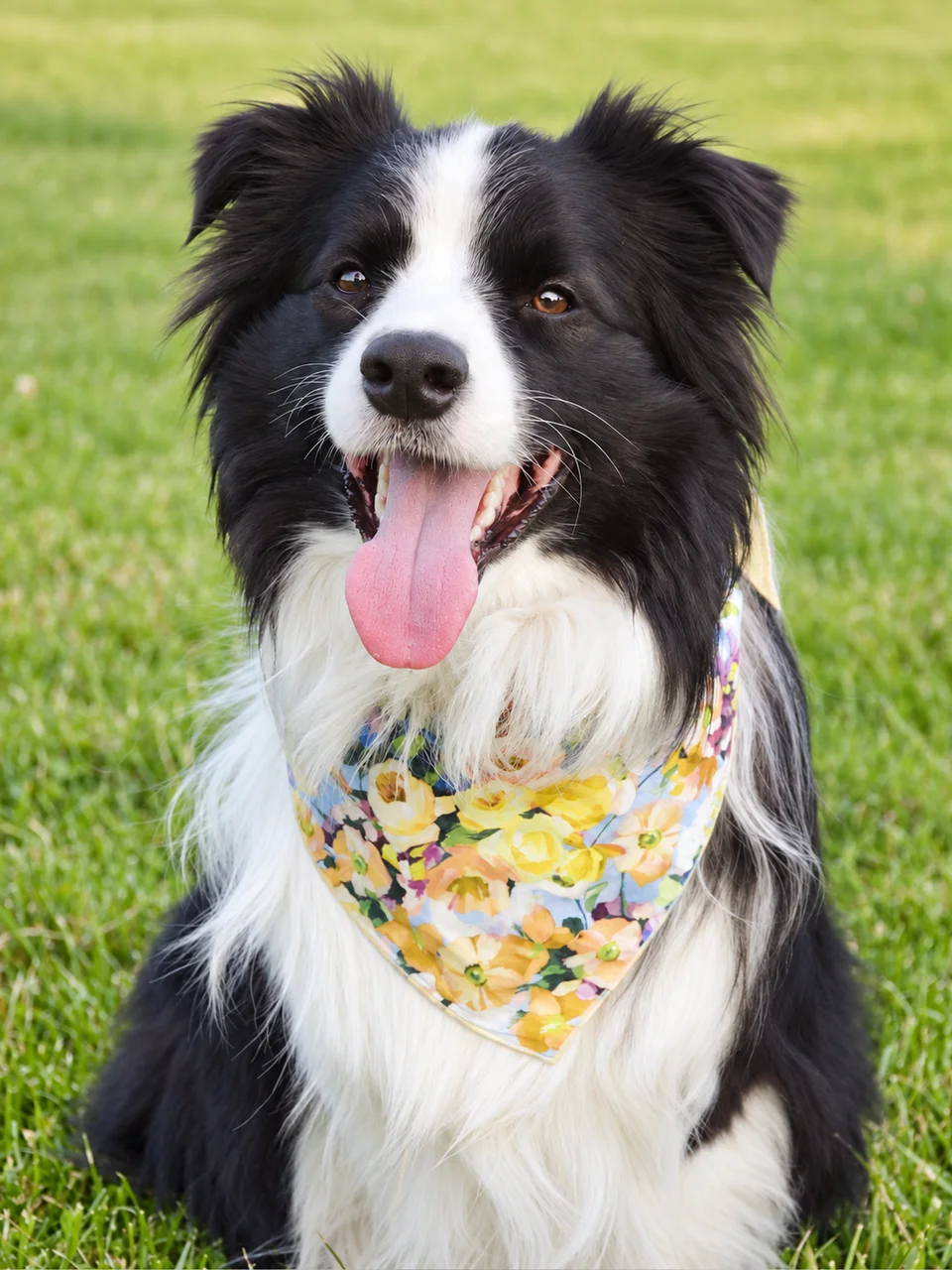 Spring Serenade Bandana