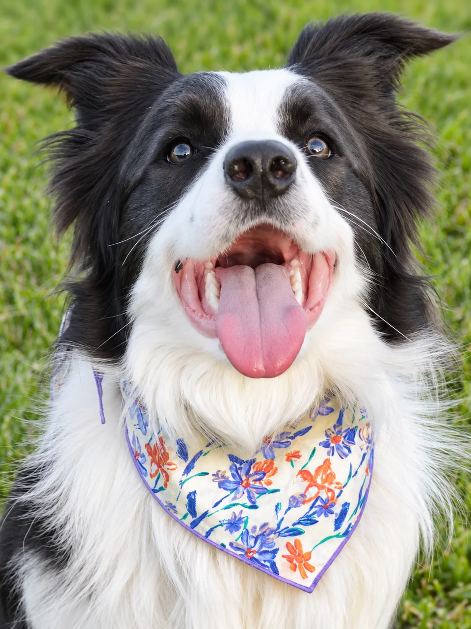Garden Gala Bandana